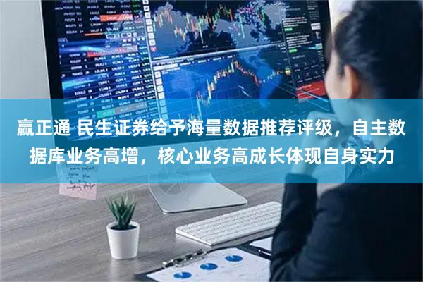 赢正通 民生证券给予海量数据推荐评级，自主数据库业务高增，核心业务高成长体现自身实力