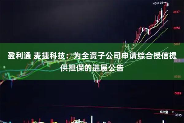 盈利通 麦捷科技：为全资子公司申请综合授信提供担保的进展公告