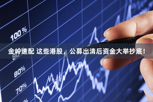 金岭速配 这些港股，公募出清后资金大举抄底！