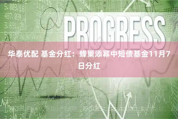 华泰优配 基金分红:蜂巢添幂中短债基金11月7日分红