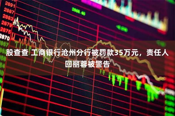 股查查 工商银行沧州分行被罚款35万元，责任人回丽蓉被警告
